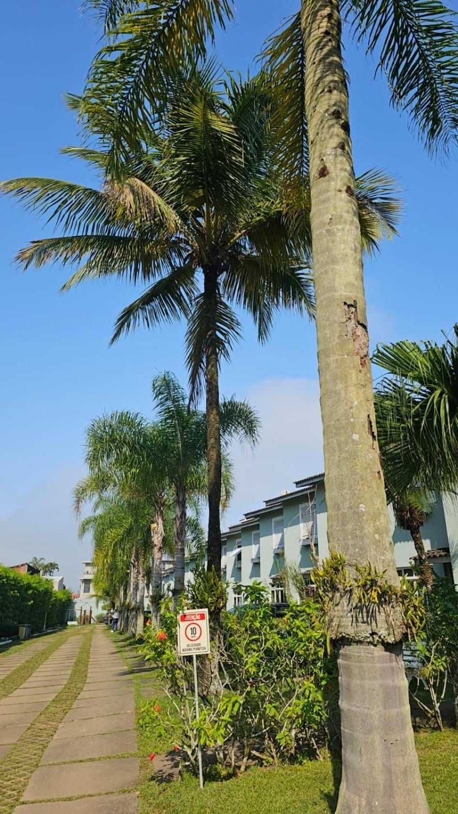 Casinha De Boneca Em Juquey Vila Juquei Exterior foto